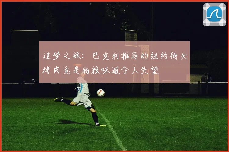 追梦之旅：巴克利推荐的纽约街头烤肉竟是狗粮味道令人失望